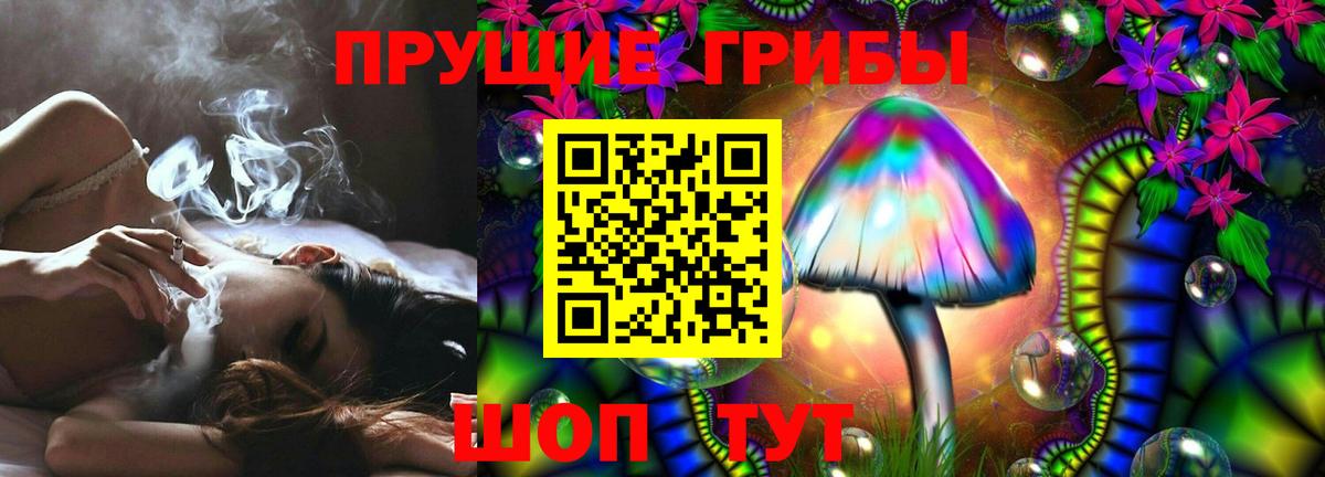 Славгород  купить закладку  Вход с VPN  Галлюциногенные грибы мицелий 